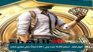 اليوم فقط.. استلم 18,000 شدة ببجي + 6,300 مجانًا بأعلى معايير الأمان